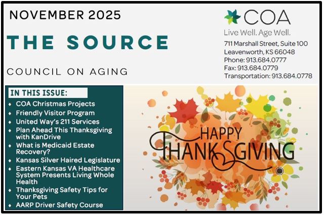 v2_2025 November outlined